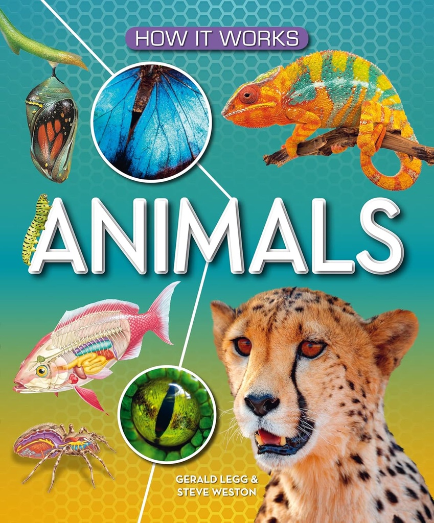 How It Works: Animals H/B