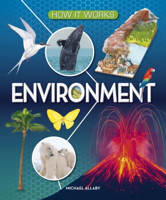 Environment: How It Works H/B