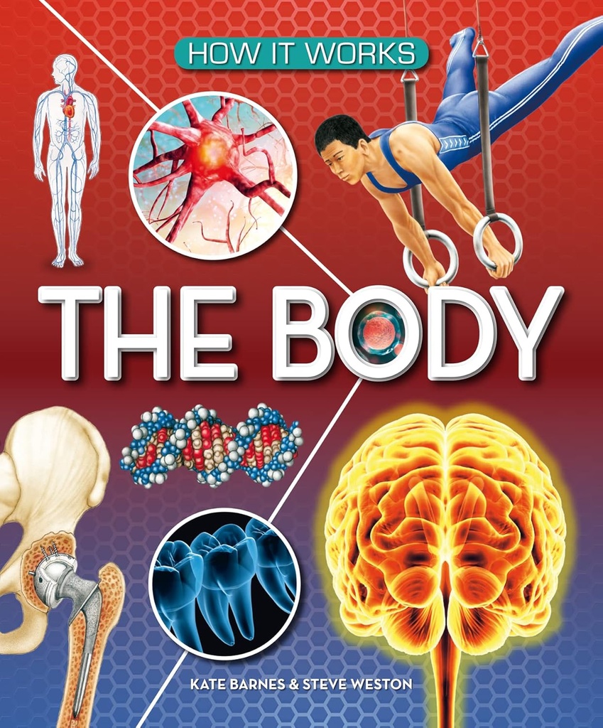 How It Works: The Body H/B