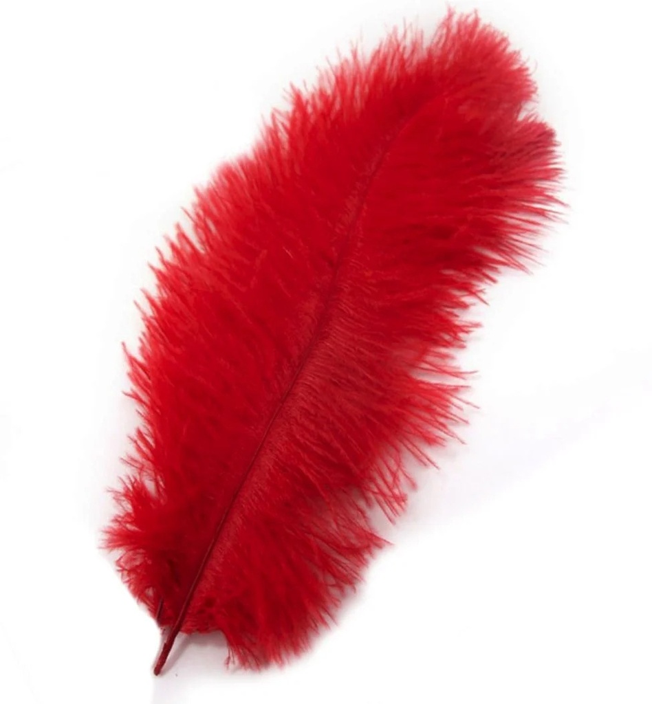 Feathers Ostrich Red 