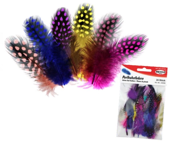 Feathers Guinea Fowl Asst - Sale