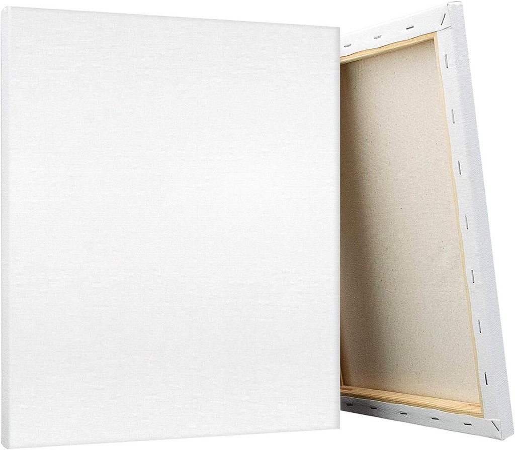 Zieler Stretched White 16x20" Canvas Thin Edge #9290018
