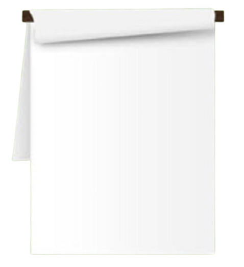 Flip Chart Pad 22x34  - 6/pk