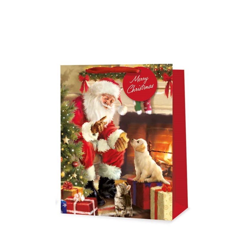XMAS Gift Bag MED #X9419A/FSC (Traditional Santa)