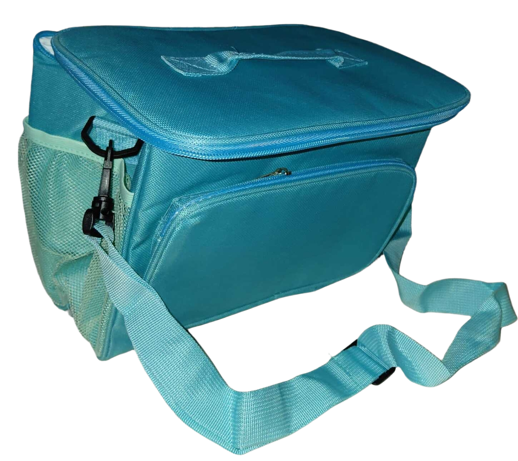 Cooler Bag #TG79 26x18x22cm Asst Colours
