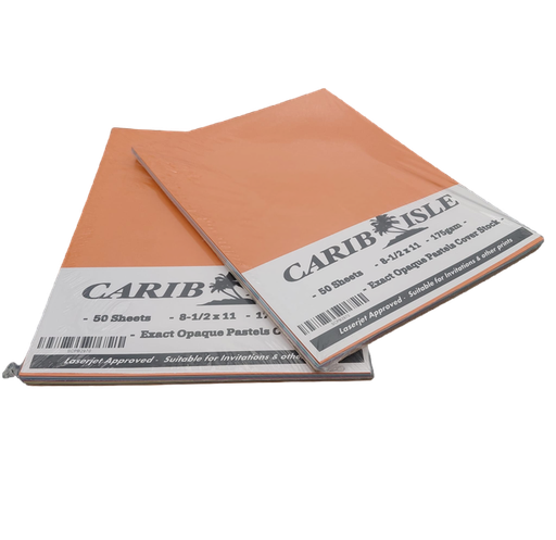 [BXCARDAS] Carib Isle Cover Stock Assorted Colors 175g (Letter Size) 50 Sheets