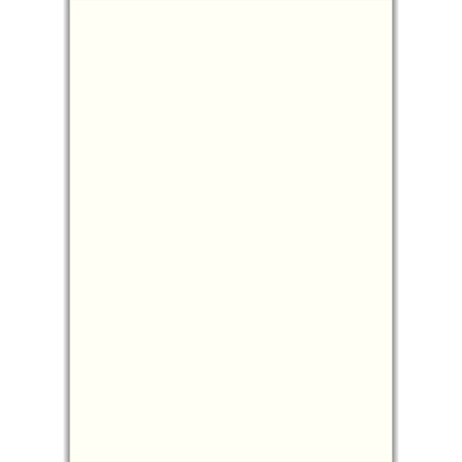 [BXPARCA4] Goatskin Parchment A4 Sold Singular