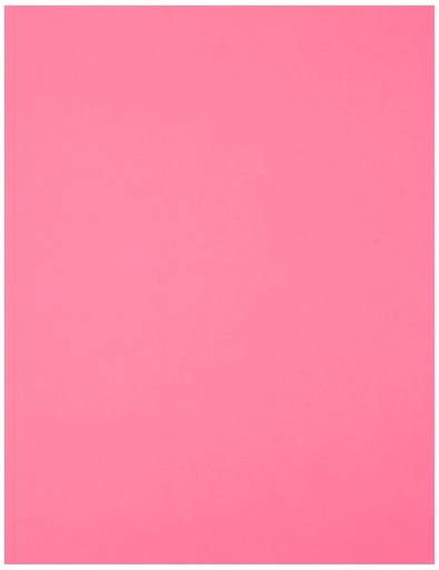 [BXREPOCO] Aklass Coloured Copy Paper L/S Pink