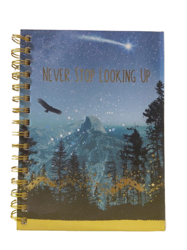 [CN279217] Journal #77000128080 Night Sky