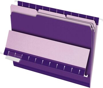 [ESFFLSVI] Pendaflex File Folders L/S VIOLET #4210 - Sold Singular