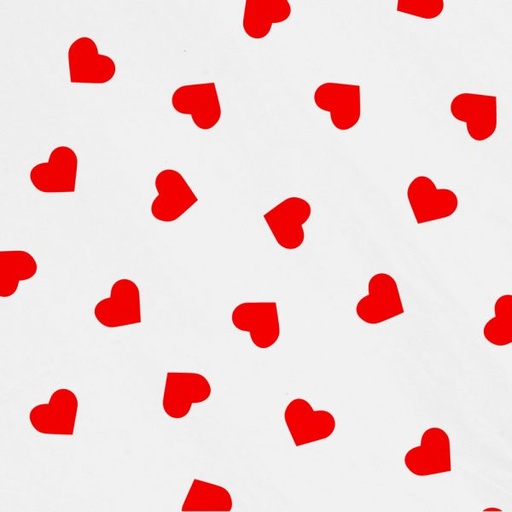 [GWSPECAS] Tissue Paper SPECIALITY DESIGNS 20X30 (Assorted)