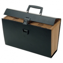 [SS300308] Exp. Filing Case 15x10" 19pkt w/Index EAGLE