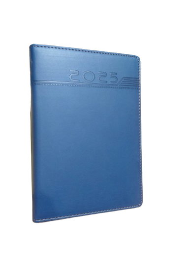[PBIDAILYX] Daily Executive Diaries 2025 - Sale