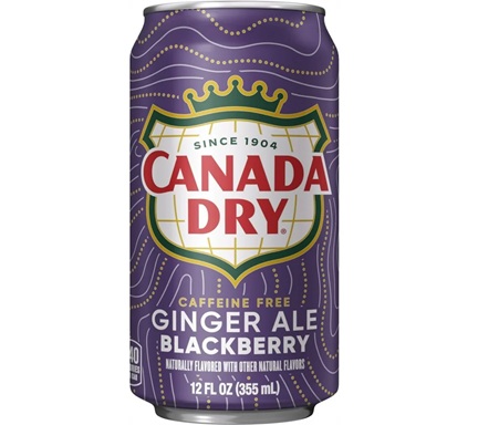 [LWCADRBB] Canada Dry BLACKBERRY GINGERALE 355ml Can - Each - (24/ctn)