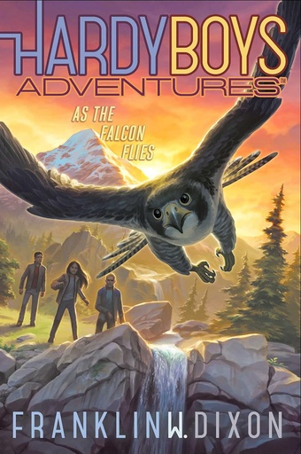 [SI483255] As The Falcon Flies #24: Hardy Boys Adv.