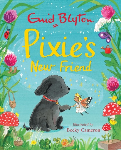 [HA949520] Pixie's New Friend - Enid Blyton