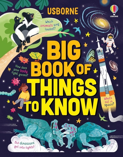 [HC074113] Usborne Big Book Of Things To Know  