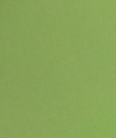 [BX190GGR] Laser Card 190g MEZZO Green L/S 50 Sheets