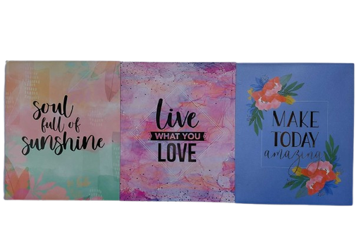 Silver Lining #65000CP 2pkt Foiled Portfolio 3 Designs