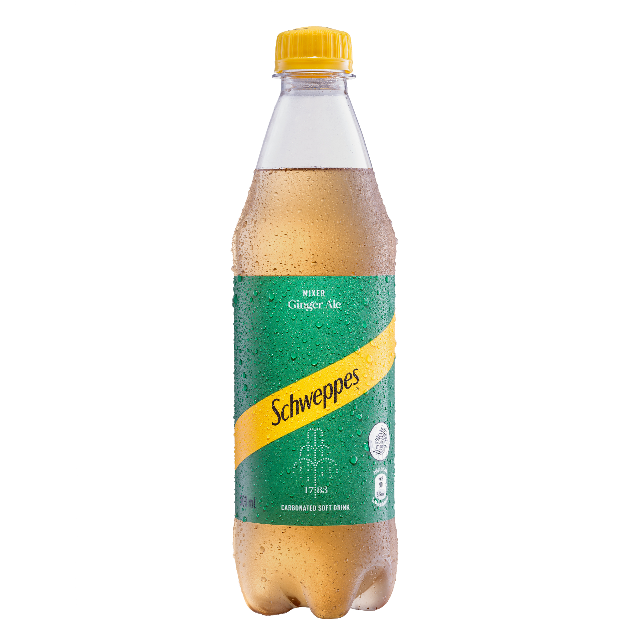 Schweppes Ginger Ale 500ml – Brydens Retail Inc